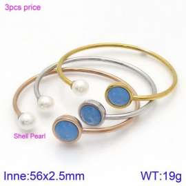 Stainless Steel Stone Bangle