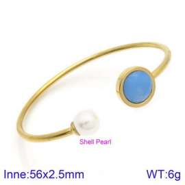 Stainless Steel Stone Bangle