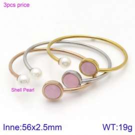 Stainless Steel Stone Bangle