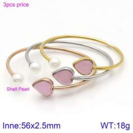 Stainless Steel Stone Bangle