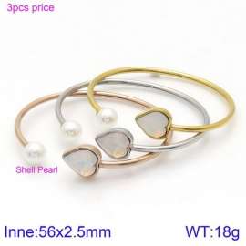 Stainless Steel Stone Bangle