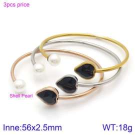 Stainless Steel Stone Bangle