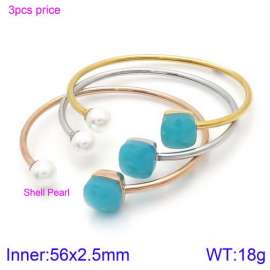 Stainless Steel Stone Bangle