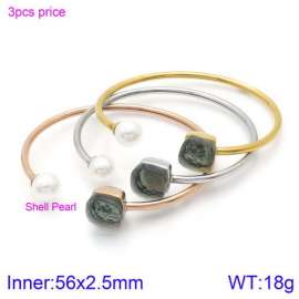 Stainless Steel Stone Bangle