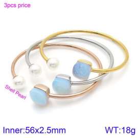 Stainless Steel Stone Bangle