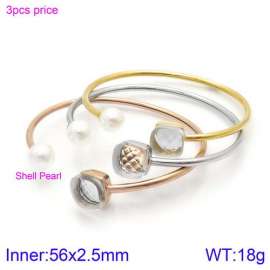 Stainless Steel Stone Bangle