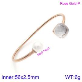 Stainless Steel Stone Bangle