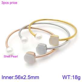 Stainless Steel Stone Bangle