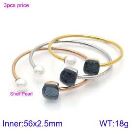 Stainless Steel Stone Bangle