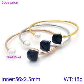 Stainless Steel Stone Bangle