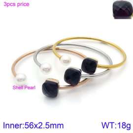 Stainless Steel Stone Bangle