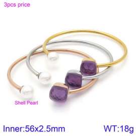 Stainless Steel Stone Bangle