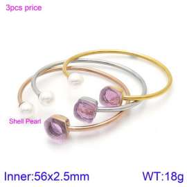 Stainless Steel Stone Bangle