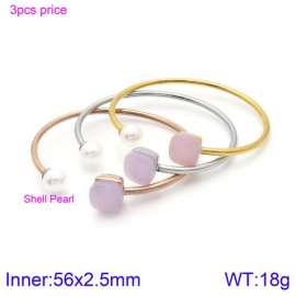 Stainless Steel Stone Bangle