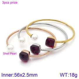 Stainless Steel Stone Bangle