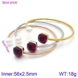 Stainless Steel Stone Bangle