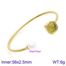 Stainless Steel Stone Bangle