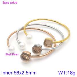 Stainless Steel Stone Bangle