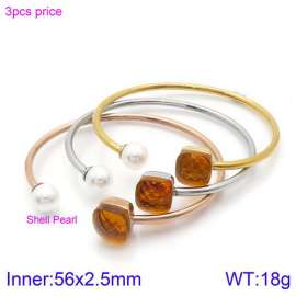 Stainless Steel Stone Bangle