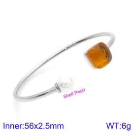 Stainless Steel Stone Bangle