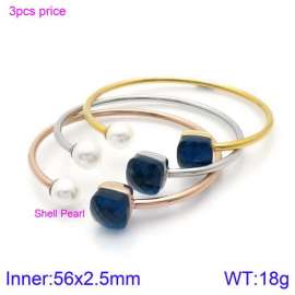 Stainless Steel Stone Bangle