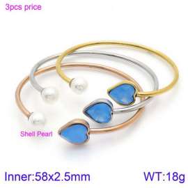 Stainless Steel Stone Bangle