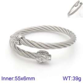 Stainless Steel Wire Bangle