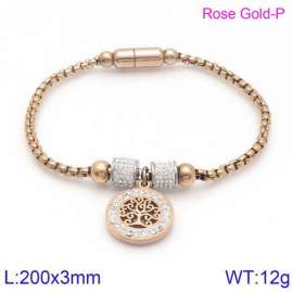 Stainless Steel Stone Bracelet