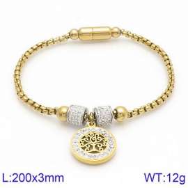 Stainless Steel Stone Bracelet