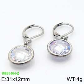 Stainless Steel Stone&Crystal Earring