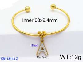 Stainless Steel Gold-plating Bangle