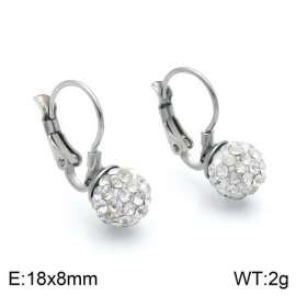 Stainless Steel Stone&Crystal Earring