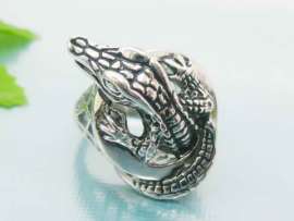 Stainless Steel Special Ring