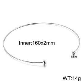 Stainless Steel Collar