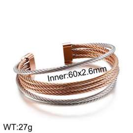 Stainless Steel Wire Bangle