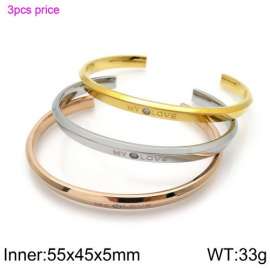 Stainless Steel Stone Bangle