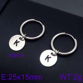 Stainless Steel Earring