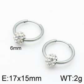 Stainless Steel Stone&Crystal Earring