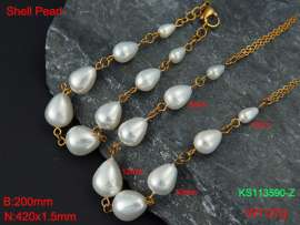 SS Jewelry Set(Most Women)