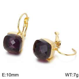 Stainless Steel Stone&Crystal Earring