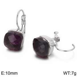 Stainless Steel Stone&Crystal Earring