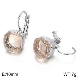 Stainless Steel Stone&Crystal Earring