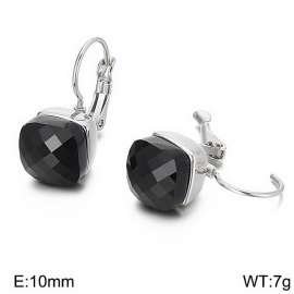 Stainless Steel Stone&Crystal Earring