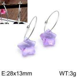 Stainless Steel Stone&Crystal Earring