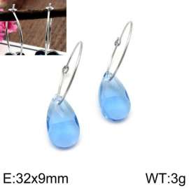 Stainless Steel Stone&Crystal Earring