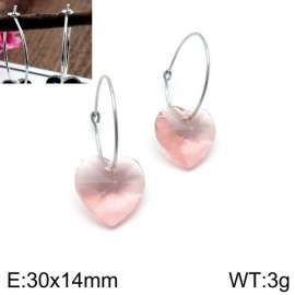 Stainless Steel Stone&Crystal Earring