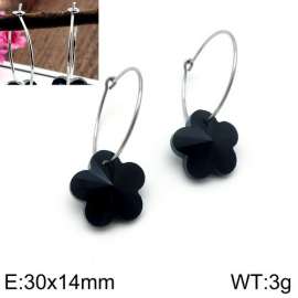 Stainless Steel Stone&Crystal Earring