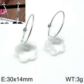 Stainless Steel Stone&Crystal Earring