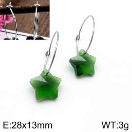 Stainless Steel Stone&Crystal Earring