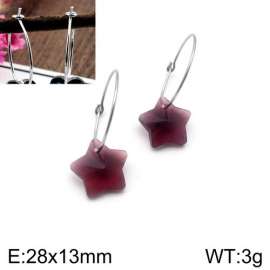 Stainless Steel Stone&Crystal Earring